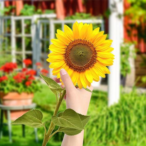 tournesol Tridimensionnel En Acrylique Pour Sol De Patio Extrieur, Dcorations De Modlisation Murale, Pour Patio Extrieur, Dcoration De Jardin De F (1/5)
