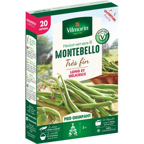 Vilmorin – Haricot grimpant vert Montebello – Graines de potager – Exposition ensoleillée – Semis de mars à juin – Récolte de juillet à septembre