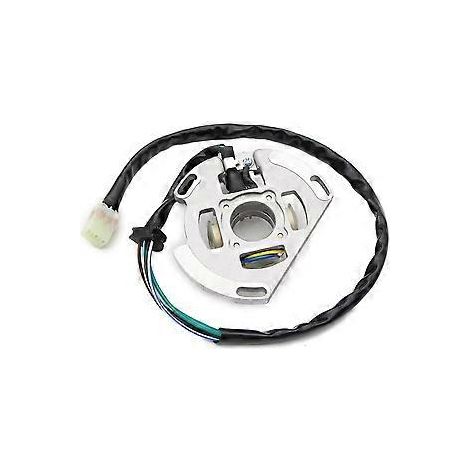 Bobine de stator de magnéto pour moto KTM 65 85 XC SX 85 SXS 17/14 19/16 105 XC SX 46139004 (1/5)