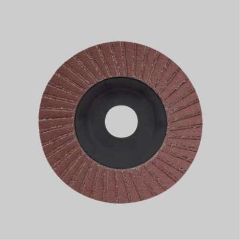 Disco lamellare al corindone ø 115x22 mm - grana 60 (10 pezzi) MOLITAL (1/2)