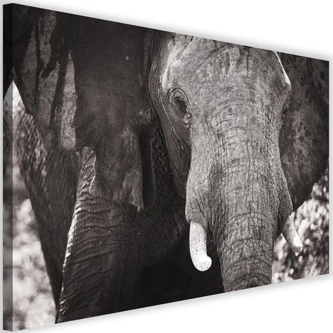 Tableau sur toile Eléphant Afrique Noir et Blanc 60x40 (1/5)
