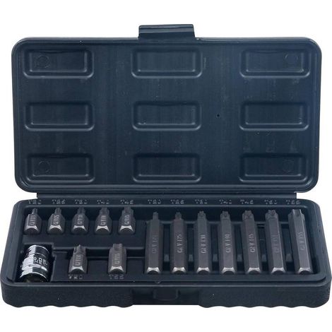 Jeu d Embouts 15 pcs 10 mm (3/8) Profil en T Torx - Précision et Polyvalence, Acier - D-Work