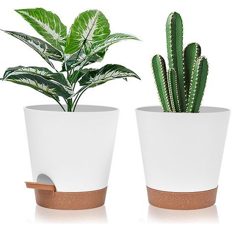 5 macetas de plástico blancas de 15 cm (6 pulgadas) con sistema de autorriego, platillo y sistema de riego - Macetas fáciles de usar, ideales para interiores y exteriores, tanto en balcones como en ex (1/5)