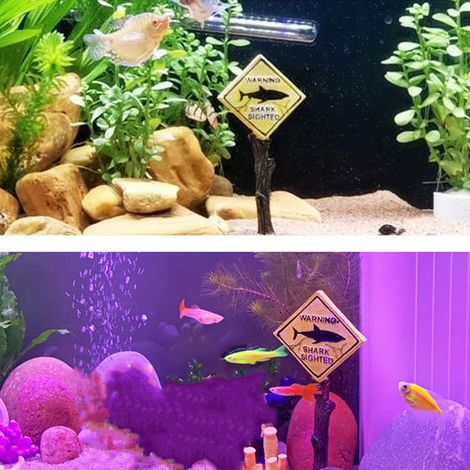 Décoration Aquarium Réplique de Panneau de Signalisation de Route - Élément Décoratif pour Aquariophilie-AUTRES (1/5)