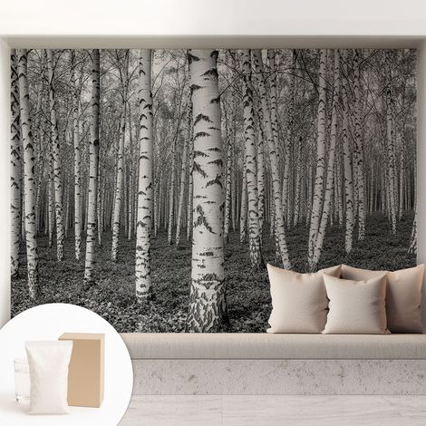 Papier peint avec colle pour décoration moderne de salon chambre à coucher cuisine et bureau Facile Forêt de bouleaux 208x146 cm (1/5)