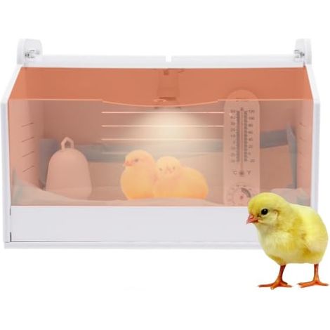 HAUTOUR Élevage de poussins 2 en 1 - Incubateur pour 20 œufs avec lampe chauffante et ouverture transparente - 220 V - Pour reptiles et petits animaux (1/5)