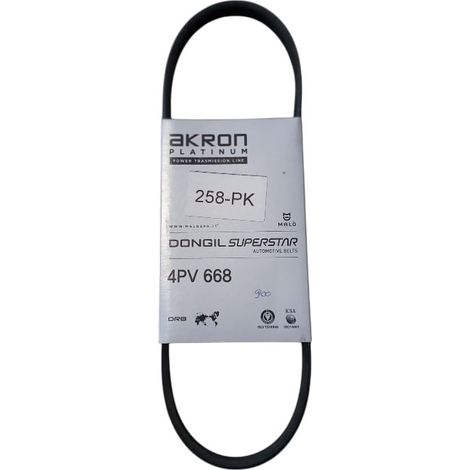 4pk668 cinghia poly-v alternatore servizi marca akron (1/5)