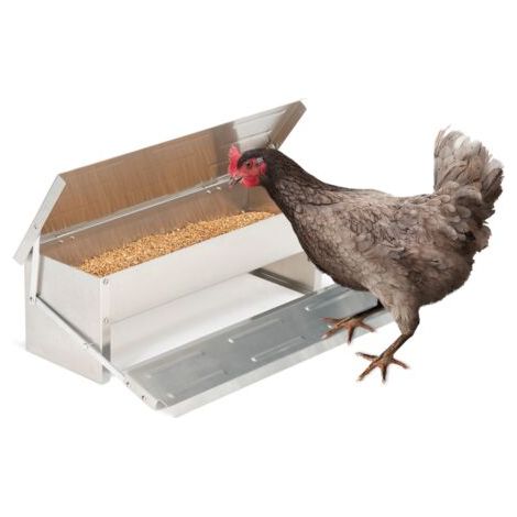 Mangeoire automatique XL pour poules – Distributeur à pédale en acier galvanisé – Capacité 5 kg – Dimensions 51 x 21 x 8,5 cm (1/5)