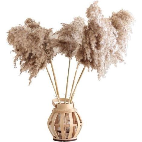 12PCS Fleur de Pampa Fleurs Séchees Naturelles Pampas Roseaux Séchés Herbe de Pampa Séchée Phragmites Décoration pour Le Mariage et La Photographie Maison Fête (1/5)