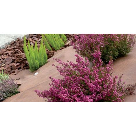 Winox – Nappe de paillage anti-mauvaises herbes 1m x 15m – Polypropylène 43g/m² – Contrôle durable et écologique des mauvaises herbes (1/6)