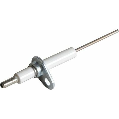 Fröling Electrode d'ionisation