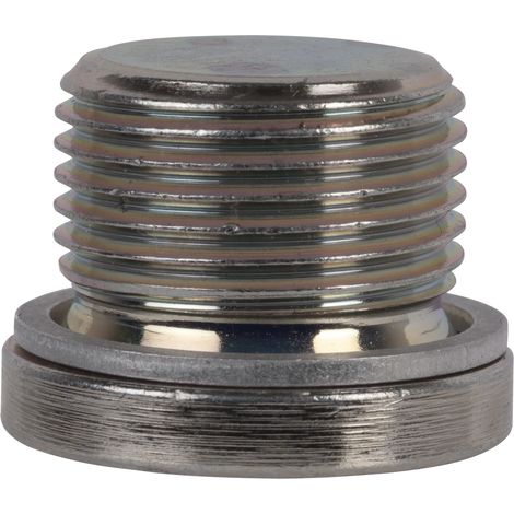 SW-Stahl 03025L Ölablaßschraube M 20 x 1,5 mit Aluminiumdichtung