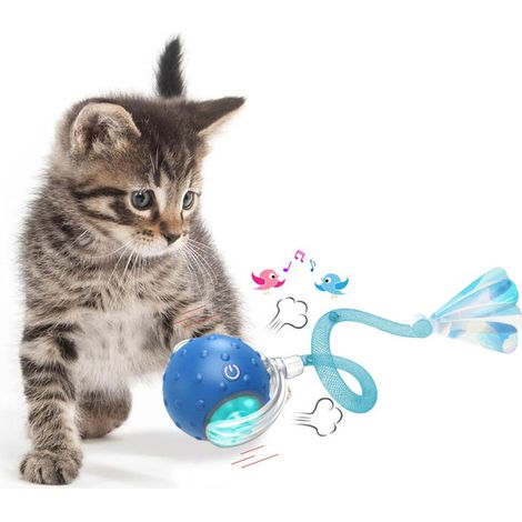 Jouet interactif intelligent pour chat, balle roulante automatique avec plume et lumière LED, jouet électronique rechargeable pour l'exercice et l'amusement des chats (1/5)