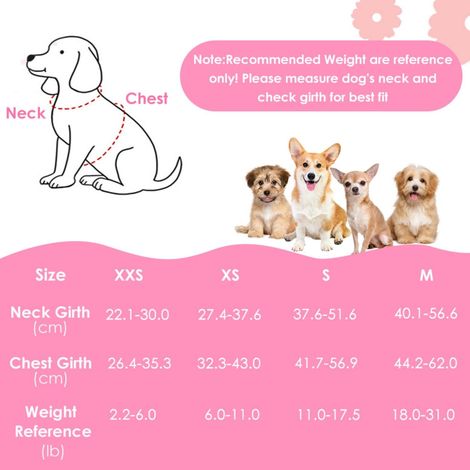 Harnais pour chien réglable et respirant avec laisse - Confortable et réfléchissant pour petits chiens et chiots