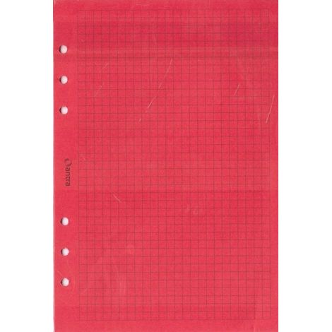 Inserto organizer formato A5, griglia rossa