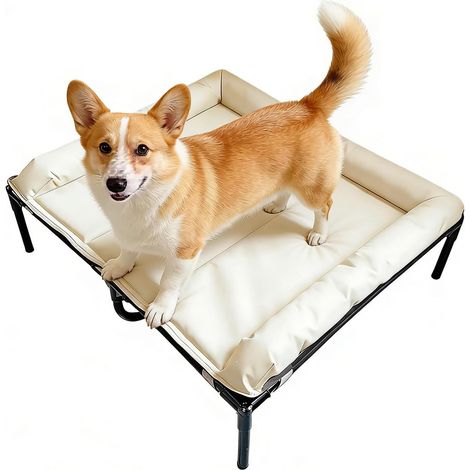 Lit Surélevé pour Chien - Lit Suspendu Imperméable et Portable - Canin (1/5)