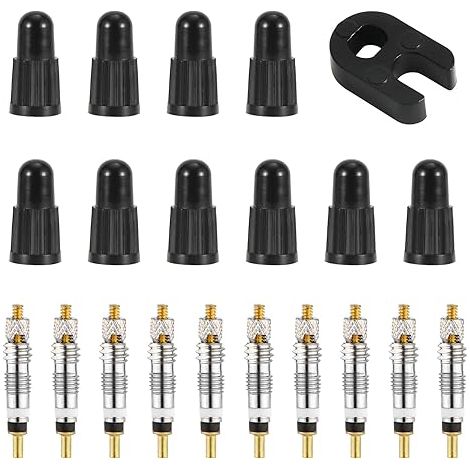 BEBUSINGOTO Kit de reparación de válvulas, con 10 núcleos de repuesto de latón para bicicletas sin cámara, con herramienta de extracción de válvulas, para neumáticos sin cámara de carretera y MTB (1/5)