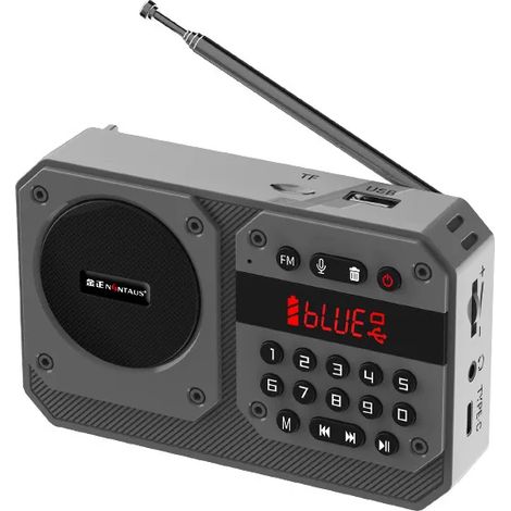 Mini radio FM portable avec récepteur radio haute sensibilité, enceinte Bluetooth HiFi sans fil avec microphone, compatible avec l'enregistrement, la lecture sur carte TF et USB. (1/5)