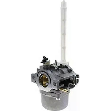 Vergaser 796122 794593, kompatibel mit BRIGGS & STRATTON Vergasern 793161 696737, Ersatzteil für Schneefräse (1/4)