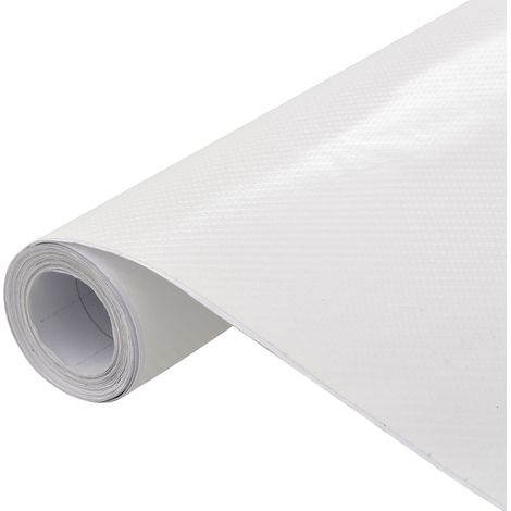 Pellicola per Auto 4D Bianca 100x150 cm vidaXL (1/5)