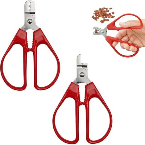 Sbucciatrice per arachidi in 2 pezzi, schiaccianoci per semi di melone, sbucciatrice per noci di piccole dimensioni, pinze per semi di melone, pinze per sbucciare, sbucciatrice, ausilio in cucina, dim (1/5)