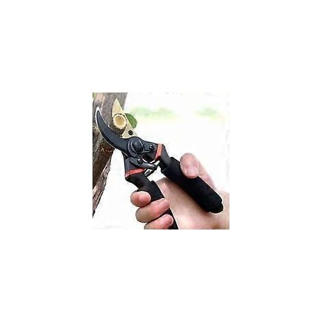 Sécateur, cisaille à branches, outil de taille pour arbustes et vergers, scie pliante (1/4)