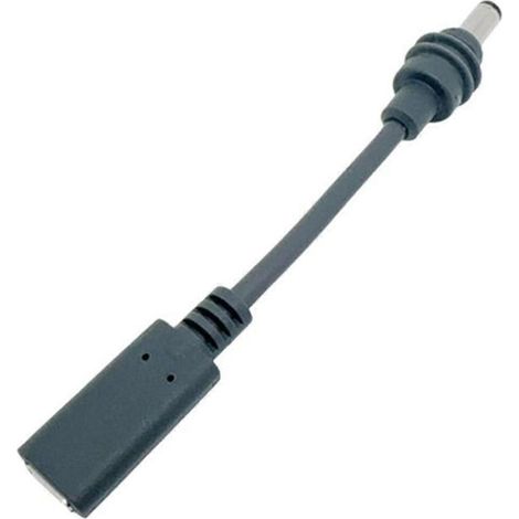 Pour STARLINK Mini USB-C femelle vers câble adaptateur secteur CC, câble avec prise CC, résistant aux intempéries, utilisation extérieure (1/5)