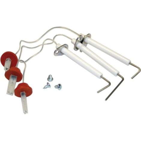 Kit sonda ionizacion + electrodos victoriaf Neobit