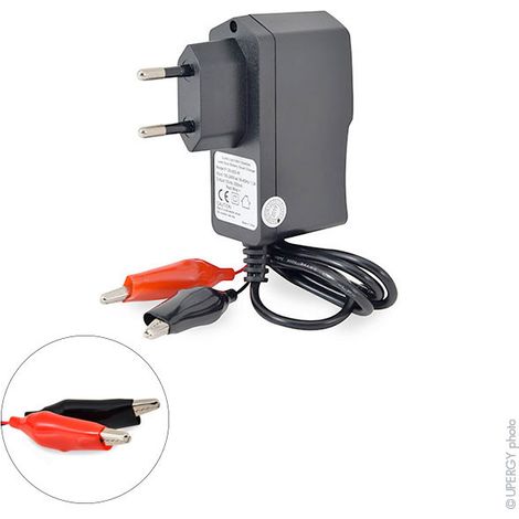 NX - Chargeur plomb NX 12V/0.2A 110-230V - pinces crocodiles (Intelligent)