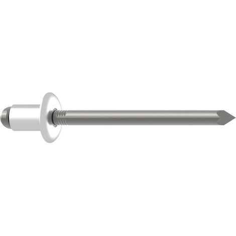 Gesipa 1433638 Rivetto Acciaio inox Acciaio inox 250 pz. (1/4)