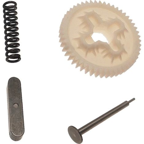 CAME 119RIBX052 Gruppo Corona Riduzione Per Motore Bx-243 Ricambio (1/4)