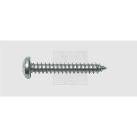 SWG 115351925 Vis à tôle 3.5 mm 19 mm cruciforme DIN 7981 acier galvanisé 100 pc(s) (1/3)