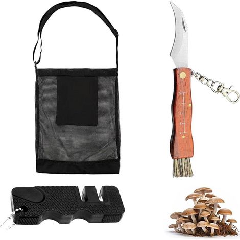 Pilzmesser Set mit Bürste, Lineal und Tasche, Edelstahl Klappmesser für Pilzsammler