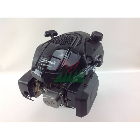 Motor KOMPLETT Emak K800 OHV Rasenmäher 196cc Spezialwelle 22x66