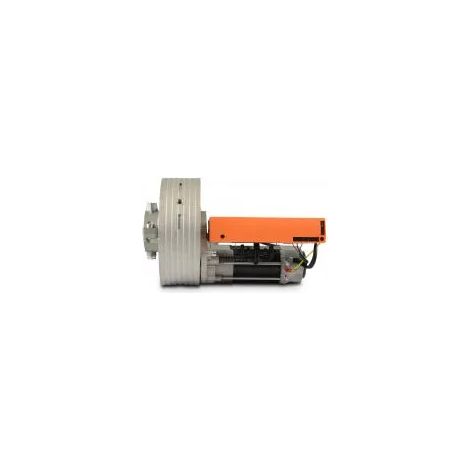 Motore Per Serranda Saracinesca Avvolgibile Garage 190kg 230v con elettrofreno