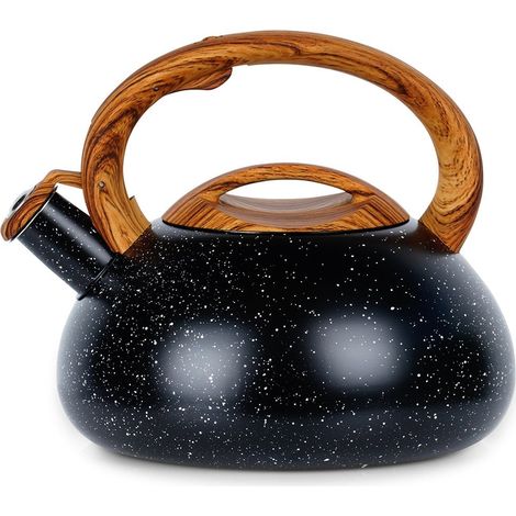 Kettle with whistle, steel, black, 3 l (1/5)