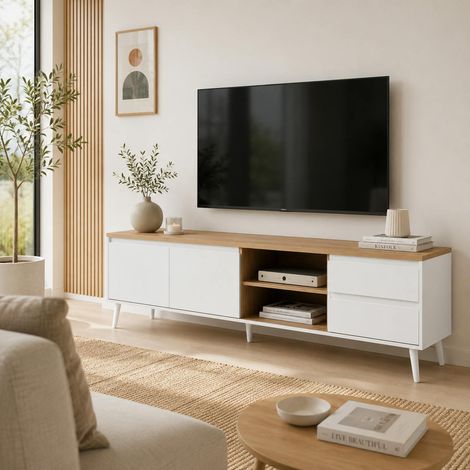 Meuble TV scandinave 2 portes 2 tiroirs ALVA (1/5)