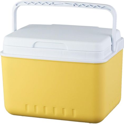 Glacières de camping 6 L isotherme, seau portable pour camping, plage, pique-nique, boissons, incubateur thermique (1/4)