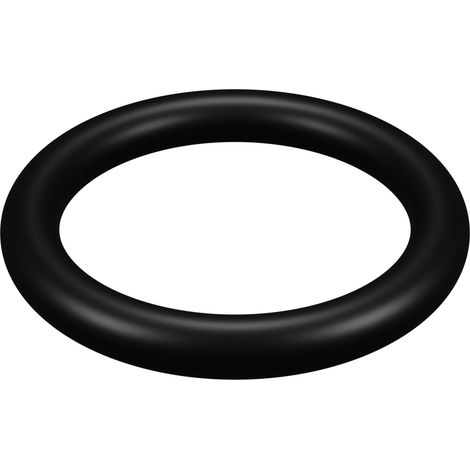 Joint pour écrou de serrage de filtre Hayward ® Star Clear Plus (1/3)