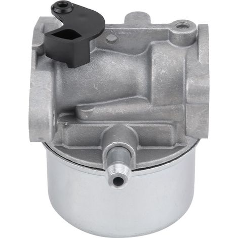 Briggs & Stratton Motorvergaser 799868 498170 498254 497347 497314, Ersatzteil für Rasenmäher (1/5)