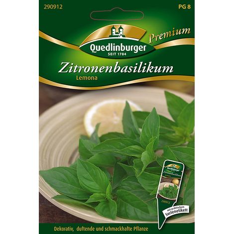 Quedlinburger Zitronenbasilikum Lemona - Premium Kräutersamen