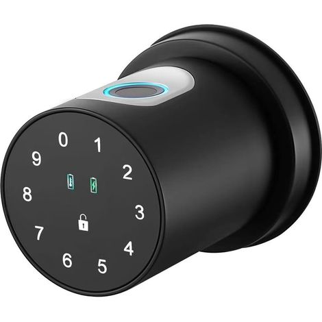 de porte biométrique avec clavier et empreinte digitale (1/5)