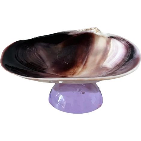 Verre à vin à pied en coquillage naturel, verre artistique en coquillage irrégulier, décoration intérieure.
