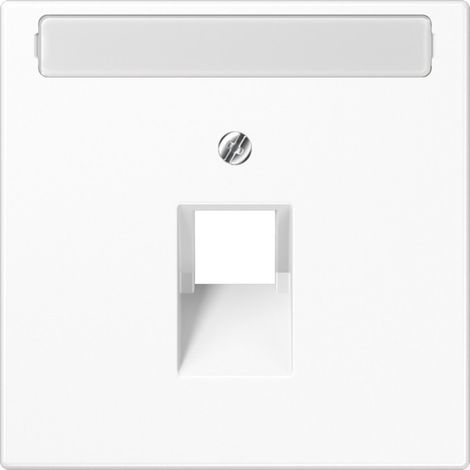 Jung Abdeckung Schriftfeld aws LS 969-1 NAUA WW (1/2)