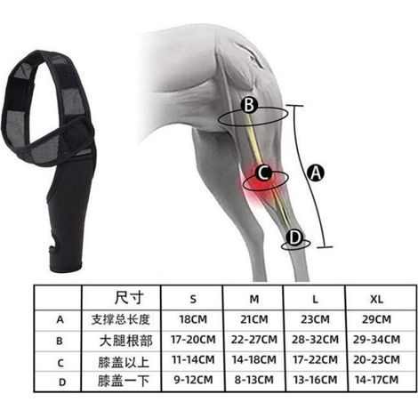 Attelle Genou Chien - Néoprène Respirant - Pour Soutien Post-opératoire et Stabilisation de la Patte - Taille Réglable - 1 Pièce (1/5)