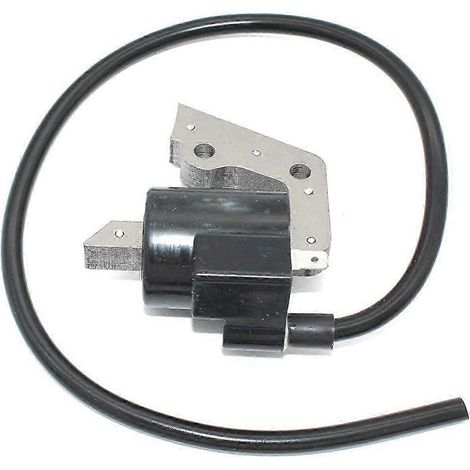 Module de bobine d'allumage pour moteur FA210 FA210D FA210R, pièces de rechange 21171-2167 005655 (1/5)