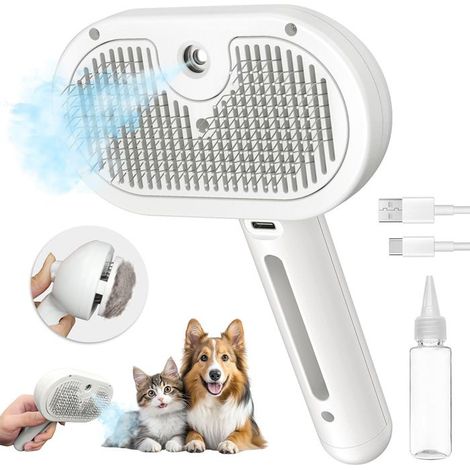 Brosse vapeur 3 en 1 USB-C en ABS et acier inoxydable (1/4)