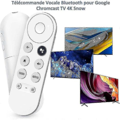 Télécommande vocale Bluetooth - Boutons Netflix et YouTube inclus (1/4)