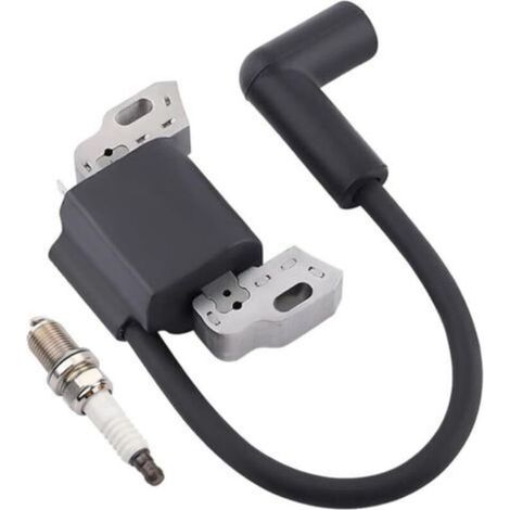 Bobine D Allumage - Compatible Avec Moteurs Serie 08P502 09P602 09P702 450E 550E - Pour Coupe Bordures Et Souffleurs A Essence - 1 Unite (1/5)