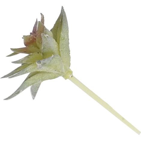 Plante succulente artificielle en PVC souple, mini fausse plante très réaliste pour la décoration de la maison, du bureau ou du bureau (Type 3) (1/5)